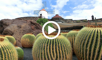 Lanzarote: Atemberaubende Inspiration für die Sinne